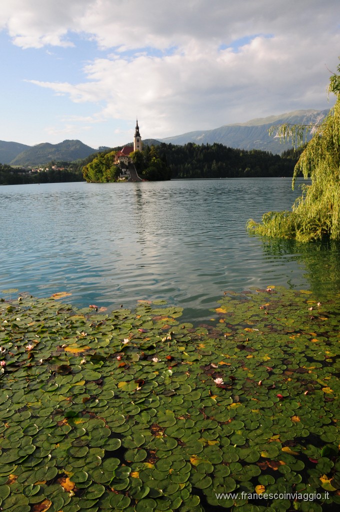 Bled  2011.07.29_50.JPG